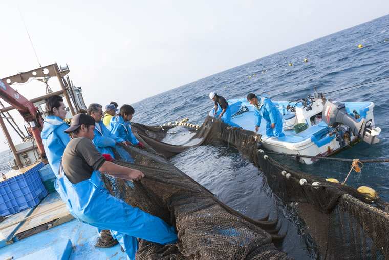 都屋漁港の大型定置網漁体験