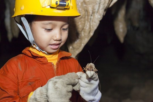 南の島の洞くつ探検