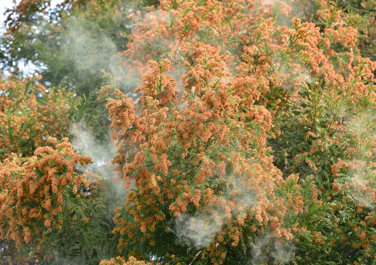 沖縄避粉旅行のすすめ