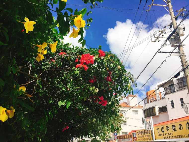 国際通り商店街　壺屋やちむん通り