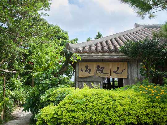 植木の緑や草花が美しい庭のテーブル席もあり