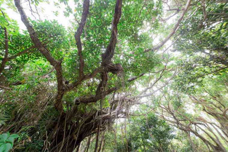 沖縄パワースポット 久高島