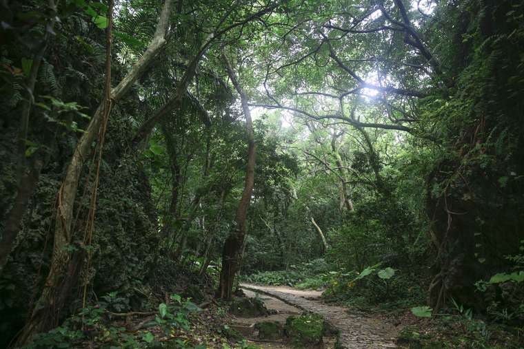 沖縄パワースポット 斎場御嶽