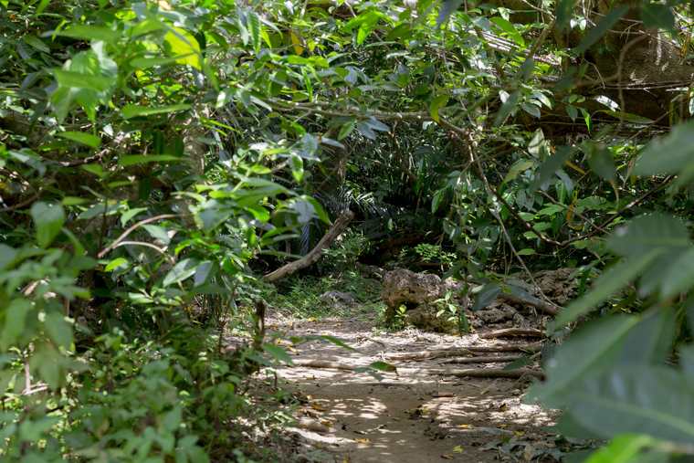 沖縄パワースポット 久高島