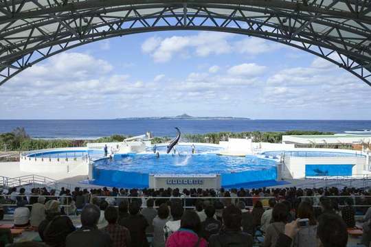 オキちゃん劇場