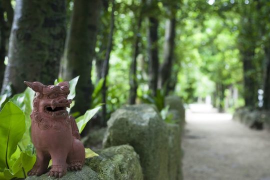 備瀬のフクギ並木