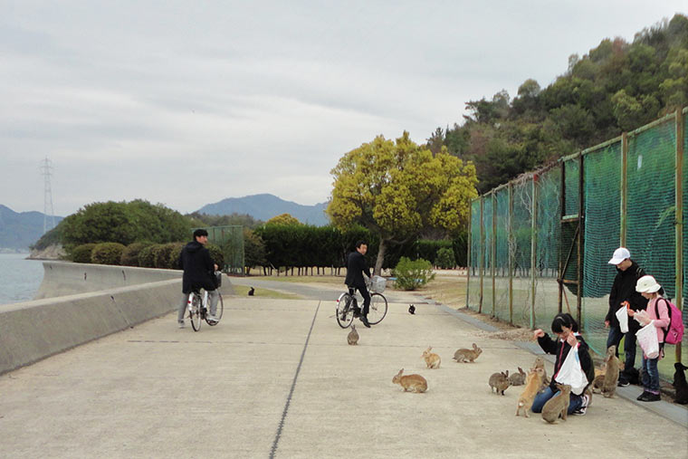 サイクリングで島を回る