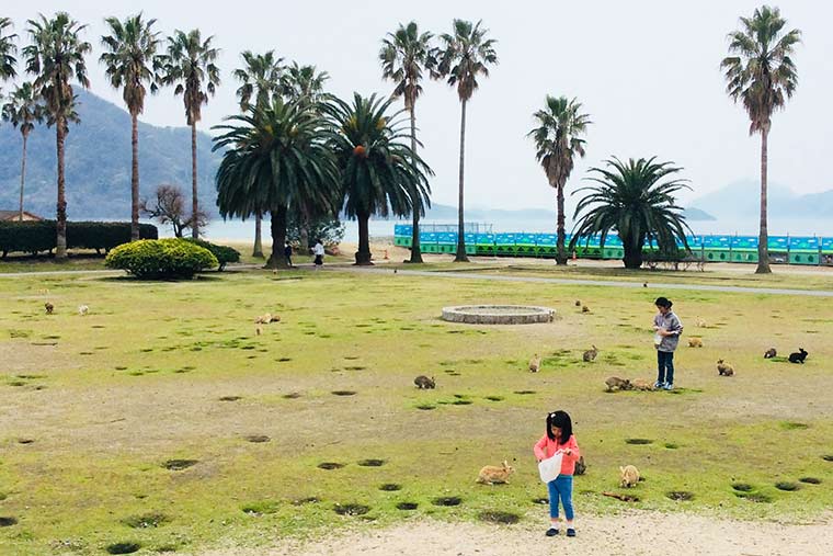 休暇村大久野島の広場