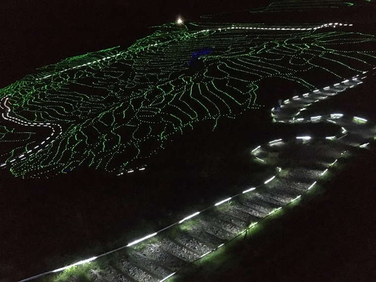 奥能登絶景海道　白米千枚田イルミネーション