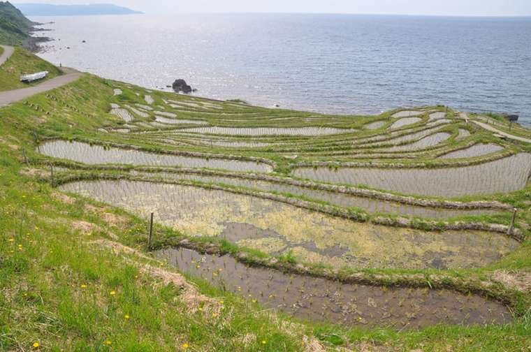 奥能登絶景海道　白米千枚田
