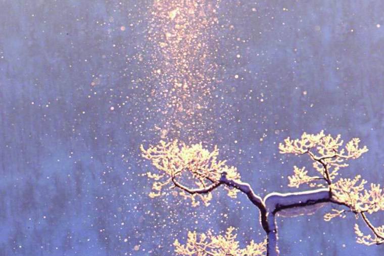 星野リゾート　OMO7 旭川　美しいダイヤモンドダストに出会う「日本一寒い街さんぽ」