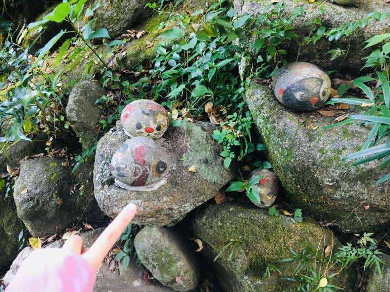 広島県・尾道市 「猫の細道」