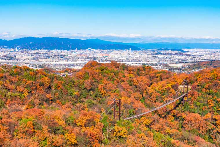 府民の森 ほしだ園地