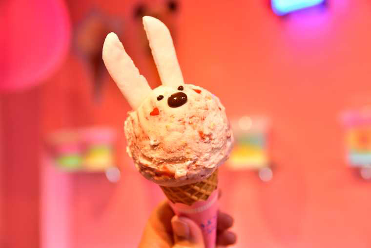 大須商店街 「どうぶつえん」