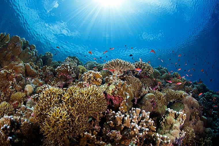 ダイブスポット