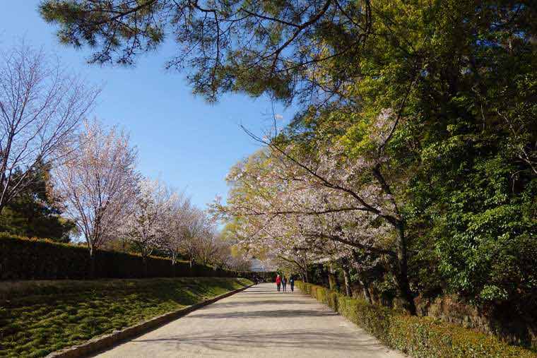 栗林公園の北庭