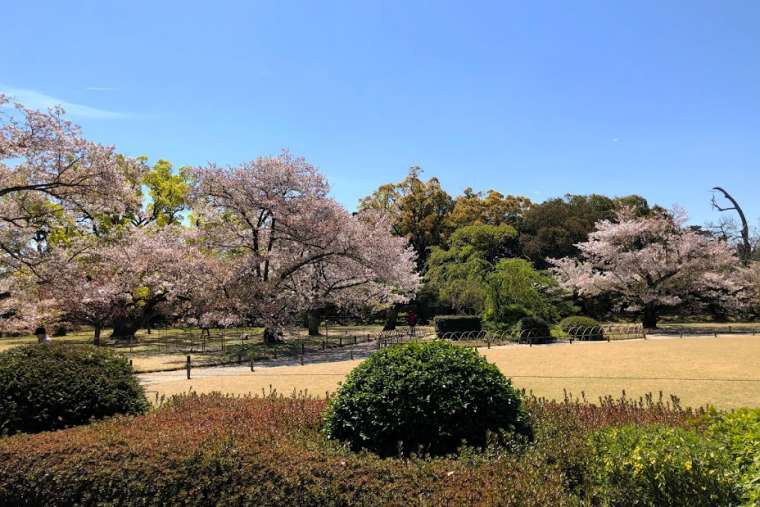 栗林公園の北庭