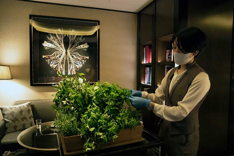 ザ・リッツ・カールトン東京  フレッシュハーブティー