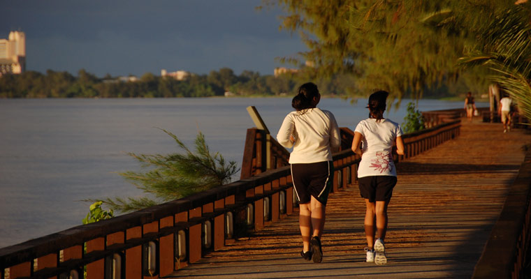 ビーチロード沿いコース