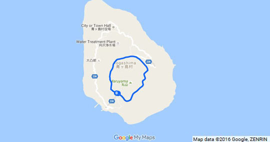 丸山外周コース