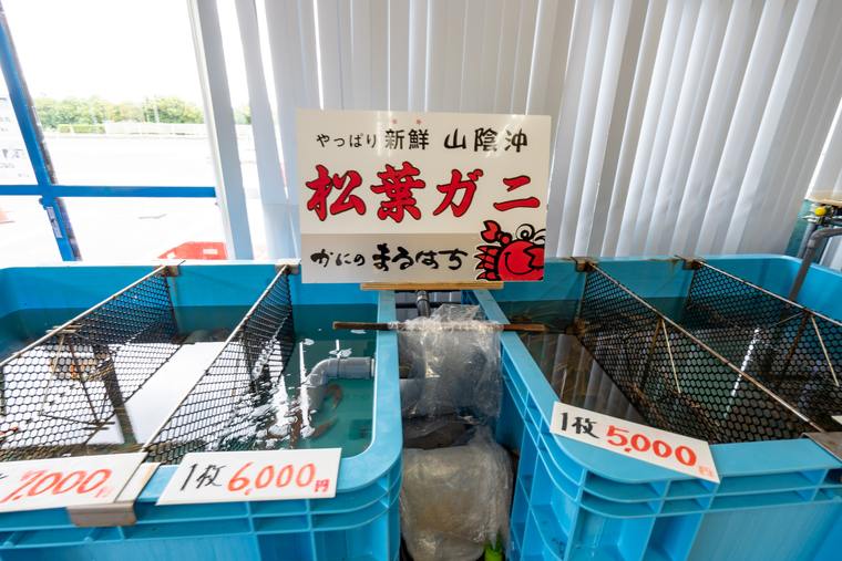 かにのまるはち