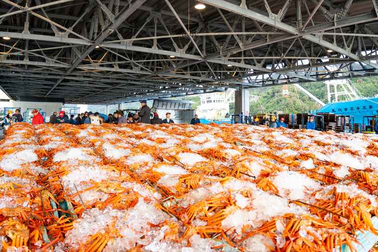 境漁港見学ツアー