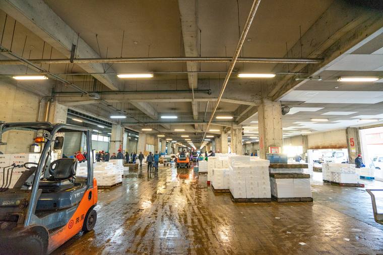 境漁港見学ツアー