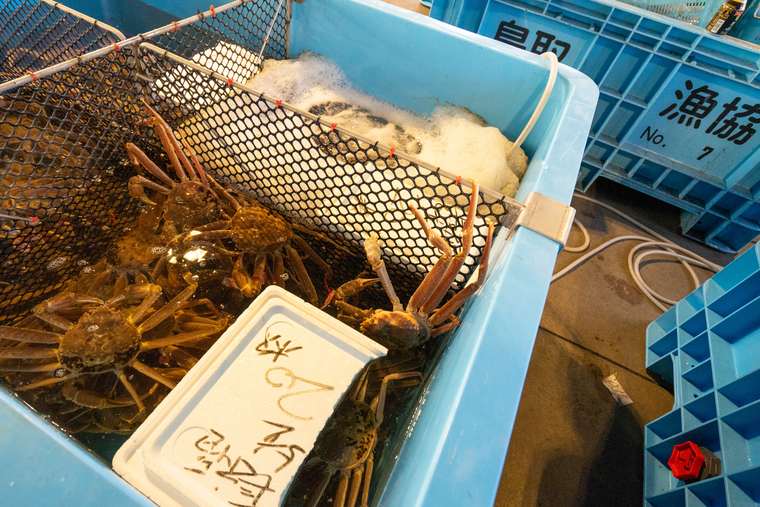 境漁港見学ツアー