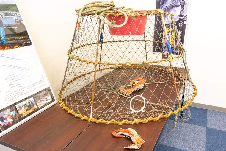 境漁港見学ツアー