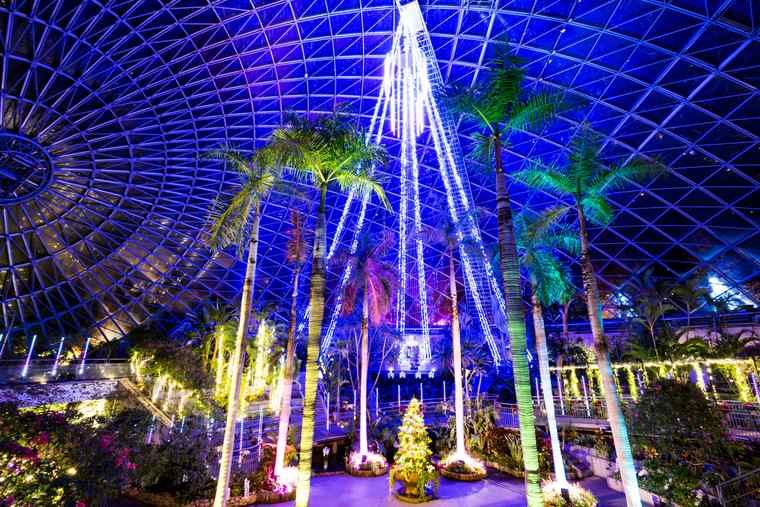 フラワーイルミネーション in とっとり花回廊