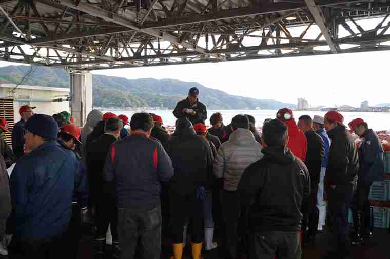 境漁港見学ツアー