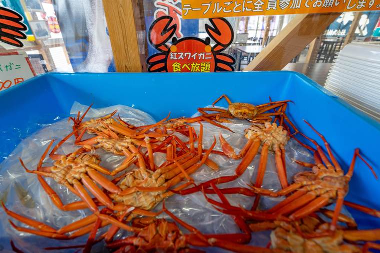 境港水産物直売センター