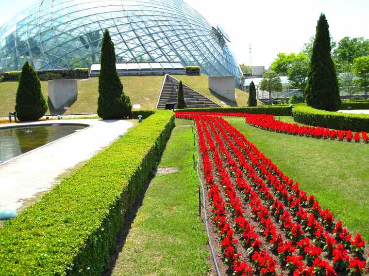 とっとり花回廊