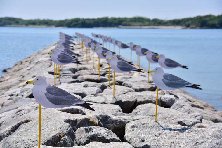 佐久島「カモメの駐車場」