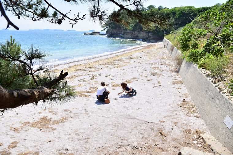 佐久島「紫の砂浜」