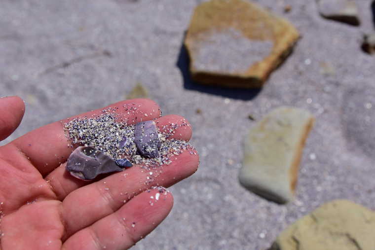 佐久島「紫の砂浜」
