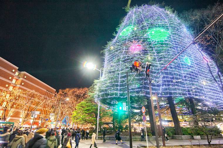 仙台  光のページェント イルミネーション