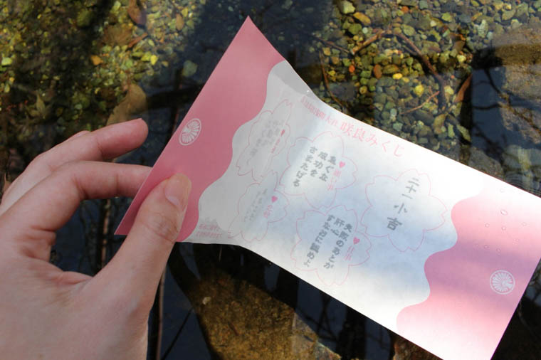 水に浸すと文字が浮かび上がる咲良みくじ