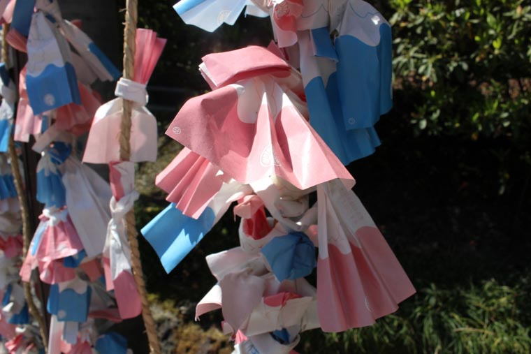 おみくじ掛けにかけた咲良みくじ