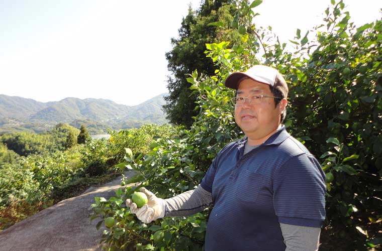 高根島でレモン畑を営む片山武志さん