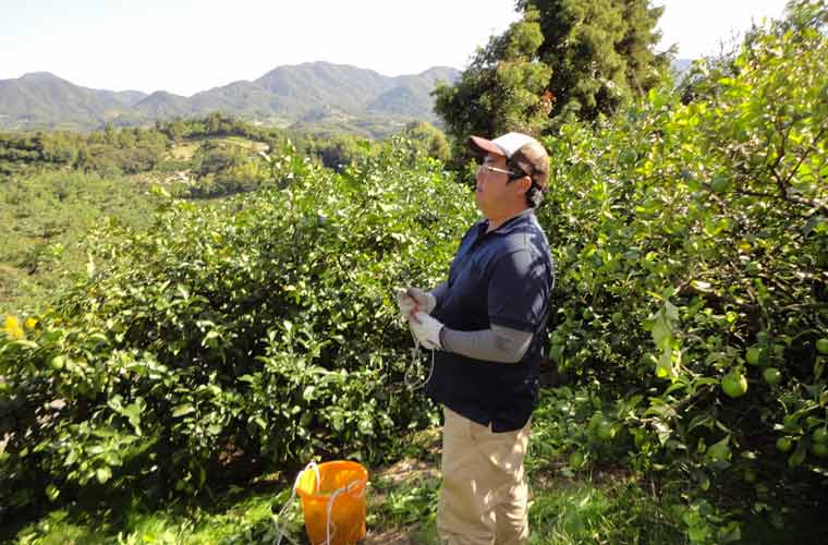 レモンの成長を見守る片山さん