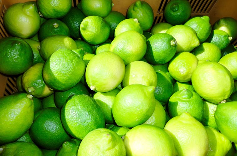 皮ごと食べられる「せとだエコレモン」