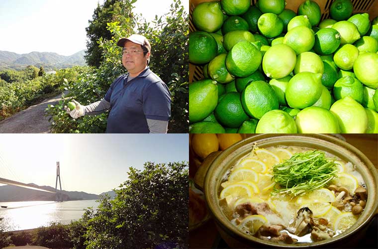 四季折々にレモンの魅力が異なるレモンの島・瀬戸田