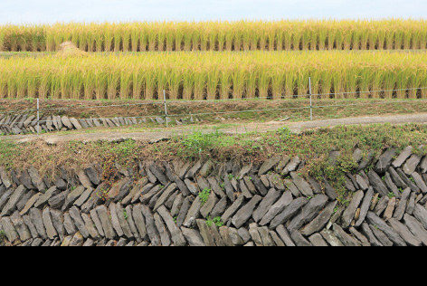 季節によって変化が楽しめる