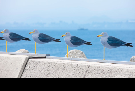 【カモメの駐車場】木村崇人