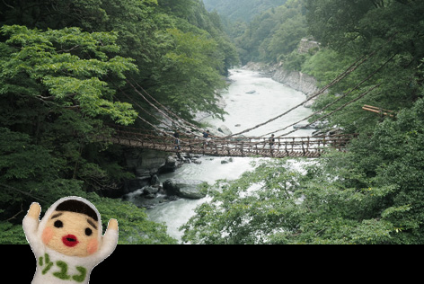 祖谷のかずら橋