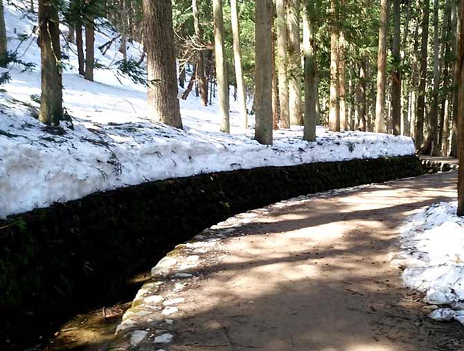 地獄谷野猿公苑への山道
