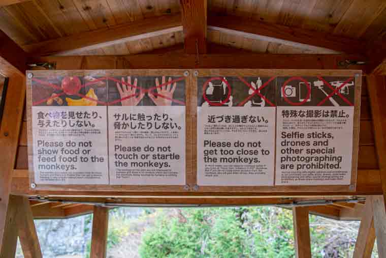 地獄谷野猿公苑