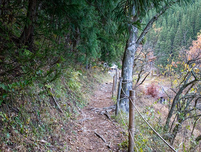 地獄谷野猿公苑への山道