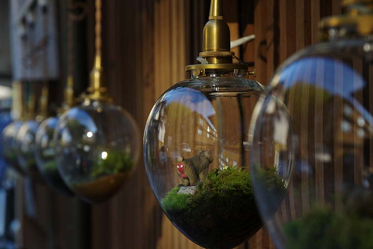 苔ランプのライトアップ